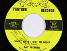 C&W Bopper 45 - Ray Presnell - What Have I Got To Lose? - Panther - mp3