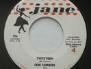 Rockabilly GENE SUMMERS Twixteen / I'll Never be Lonely JANE VG++ Promo 45 HEAR