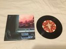 Pearl Jam 2005 Christmas Vinyl Single Fan Club Exclusive Little Sister Gone