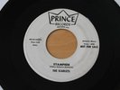 THE SCARLETS Stampede/Park Avenue 45 Wild Surf Garage Instro HEAR