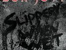Bon Jovi - Slippery When Wet (Vinyl New)