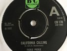 Fickle Pickle California Calling Demo B&C Wil Malone Nice  Copy