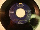 Rare Michigan Rockabilly 45 Ford Nix on Clix Hear