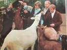 The Beach Boys Pet Sounds Vinyl Lp Mono 1966 Rainbow Rim