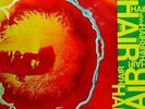 Various - Hair (LP, Album, Gat) Vinyl Schallplatte - 123222