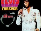 Elvis* - Elvis Forever - 32 Hits (2xLP, Comp, RE, Gat) Vinyl Schallplatte 149467
