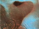 Pink Floyd - Meddle (LP, Album, RP, Gat) Vinyl Schallplatte - 160000
