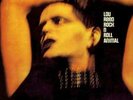 Lou Reed - Rock N Roll Animal (LP, Album, Gat) Vinyl Schallplatte 157268