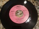 PET Records The Gay Knights The Loudness In My Heart/Angel