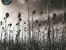 2 LP 33 Dead Can Dance ?Anastasis PIASR311DLP EU CLEAR VINYL 2012 MINT