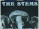 THE STEMS Let Your Head Rest 7