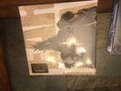 Ten [LP] by Pearl Jam (Vinyl, Aug-1991, Epic Associated)