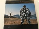 Pink Floyd Delicate Sound of Thunder 2 x Vinyl LP used mint condition