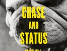 CHASE & STATUS - NO MORE IDOLS 2x12