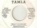 MARVIN GAYE Whats Going On Mercy Mercy Me TAMLA DJ MOTOWN NORTHERN SOUL USA 45