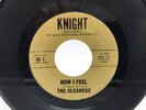 The Cleaners How I Feel If You Want Me Knight 1966 New York Garage Soul VG++