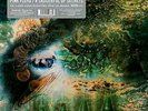 Pink Floyd - Saucerful Of Secrets RECORD STORE DAY RSD 2019 12'' LP Vinyl 19