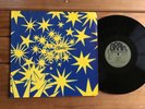 PROGRESSIVE - CLUSTER 