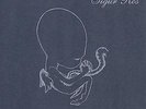 Agaetis byrjun Vinyl DoLP von Sigur Ros (2015) Krunk/Fatcat