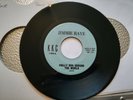 Jimmie Raye Philly Dog Around The World KKC Northern Soul RnB Rare Mod Funk