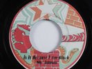 Funk 45 SLY JOHNSON Is It Because I Am Black NO LABEL VG+ jamaica HEAR