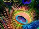FRIENDLY FIRES: LATE NIGHT TALES (UNMIXED ) {LP vinyl}