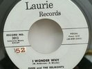 Dion and the Belmonts Laurie 3013 I WONDER WHY (GREAT DOO WOP 45) PLAYS NEW