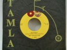Marvelettes Tamla 54060 PLAYBOY (GREAT SOUL 45) MAKE OFFER / STRONG VG++ - MINT-