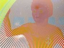 The Flaming Lips-Peace Sword (UK IMPORT) Vinyl / 12