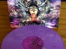 PROTEST THE HERO Fortress Vinyl LP  RARE Purple Marble  Animals As Leaders Chon