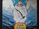 STEVE HILLAGE Fish Rising VIRGIN V2031 Inner INSERT 1975 UK Original VINYL LP