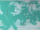 MONKEY BUSINESS Various TROJAN Untouchables, Pioneers, Clancy Eccles VINYL LP