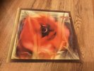 LOVE AND MONEY ?- Dogs In The Traffic LP - EX/EX 848993-1 Classic Album