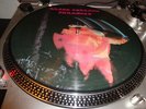Black Sabbath ?– Paranoid .org,1983..NEMS...PICTURE DISC... rare