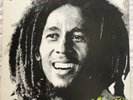 Bob Marley & The Wailers Kaya Tuff Gong Nice Lp