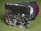 Mad Season - Sonic Evolution Limited Edition Purple Vinyl mint sealed Pearl Jam
