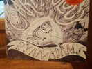 Ryan Adams & the Cardinals Cardinology ,lp + 7