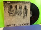 DYS Brotherhood LP, 1983 original rare Boston hardcore punk Dischord SSD KBD