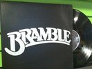 BRAMBLE self titled LP PRIVATE PRESS country rock SOUTHERN 1983 creative arts