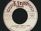 VINYL 7 INCH Gaylads - Looking For A Girl  /  Gaylads - Aren't You The Guy