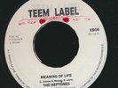 VINYL 7 INCH The Heptones - Meaning Of Life  /  Version