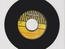 VIRGONIAN/ WHY CAN'T WE LIVE TOGETHER - TINGA STEWART (77 REGGAE ROOTS 7