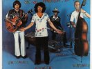 Modern Lovers - Rock 'N' Roll With The Modern Lovers LP - Beserkley VG+