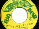 BIM SHERMAN   TRIBULATION    SUN DEW NM CONDITION