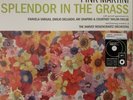 Splendor In the Grass [LP] by Pink Martini (180g Vinyl, 2010, 2 Discs, Heinz...