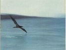 Chick Corea Return To Forever - Laminated - EX German vinyl LP album record