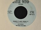 SOUL 45 Lee Fields And Force Field Band Gayle Wind 122 Shake It Lady