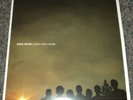 Lions And Lambs Have Heart Gray Vinyl 2019 Hardcore Single-Sided 7