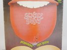 Gentle Giant Acquiring The Taste Vertigo Swirl Vinyl LP AA 6360 041.2 Y Vintage