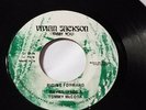 WAYNE WADE&TOMMY McCook- RIDING FORWARD Deep Roots /REGGAE 7